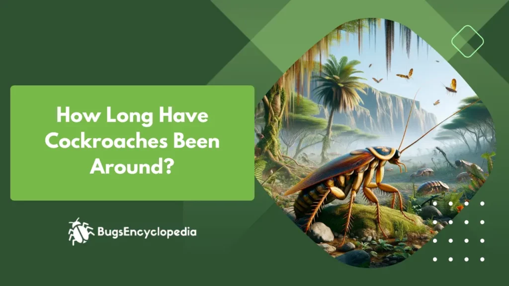 How Long Have Cockroaches Been Around?